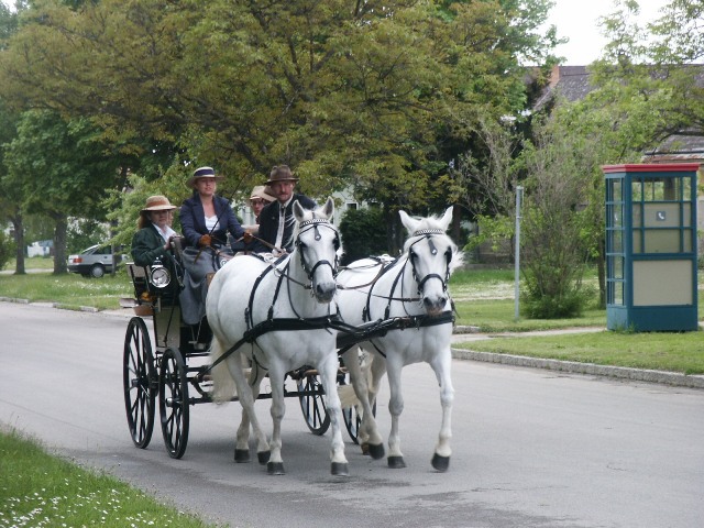 Kurs 2006 - Fahrabzeichen Bronze