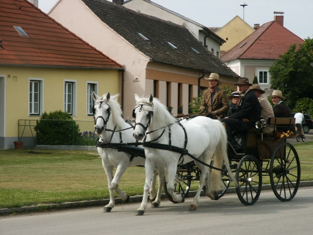 Fahrkurs 2006