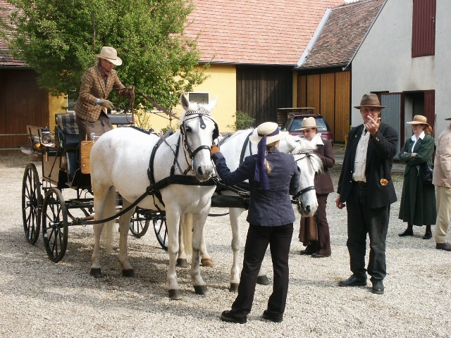 Kurs 2006 - Fahrabzeichen Bronze