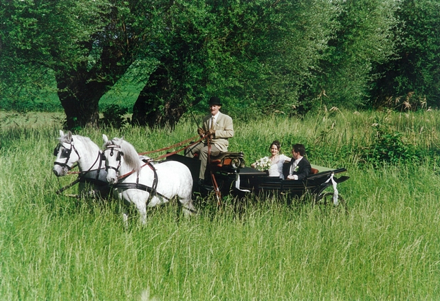 Ihre Traumhochzeit