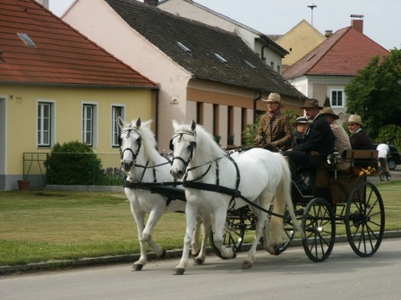 Kurs 2006 - Fahrabzeichen Bronze